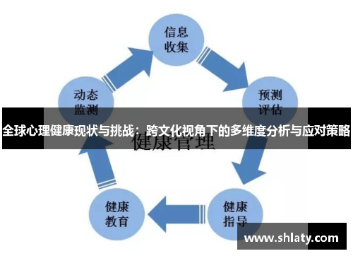全球心理健康现状与挑战：跨文化视角下的多维度分析与应对策略