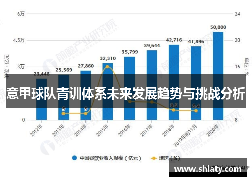 意甲球队青训体系未来发展趋势与挑战分析