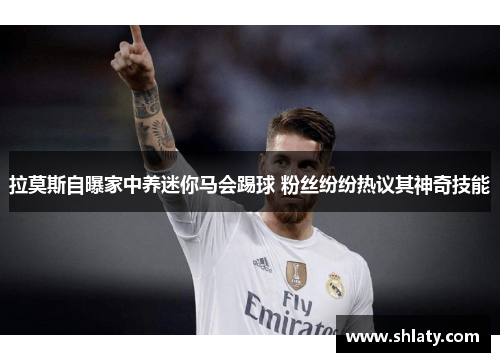 拉莫斯自曝家中养迷你马会踢球 粉丝纷纷热议其神奇技能
