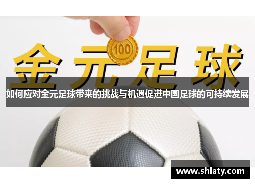 如何应对金元足球带来的挑战与机遇促进中国足球的可持续发展