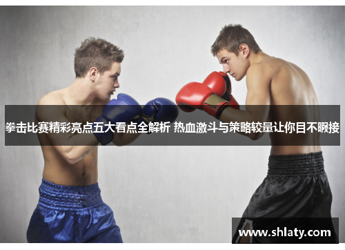 拳击比赛精彩亮点五大看点全解析 热血激斗与策略较量让你目不暇接