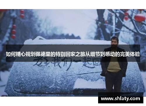 如何精心规划佩德里的特别回家之旅从细节到感动的完美体验