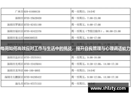 每周如何高效应对工作与生活中的挑战,提升自我管理与心理调适能力 每周如何高效应对工作与生活中的挑战,提升自我管理与心理调适能力