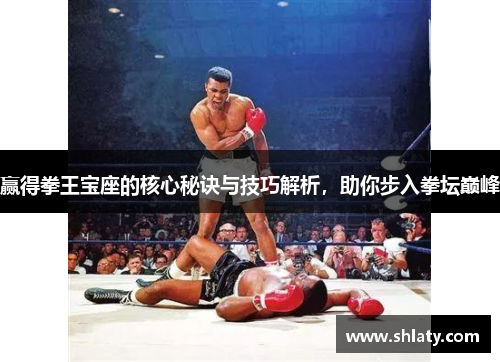 赢得拳王宝座的核心秘诀与技巧解析,助你步入拳坛巅峰 赢得拳王宝座的核心秘诀与技巧解析,助你步入拳坛巅峰